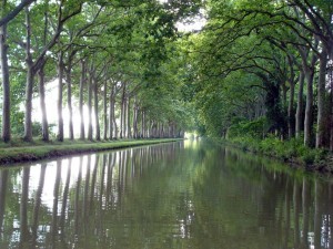 Canal du midi