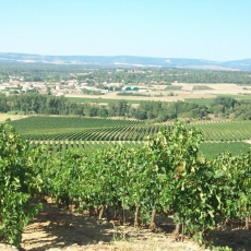 languedoc-2